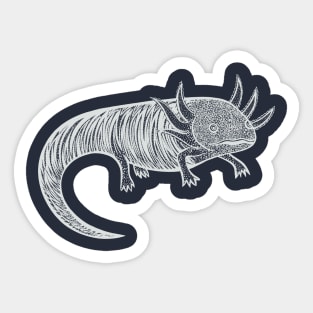 Axolotl - detailed hand drawn animal design Sticker